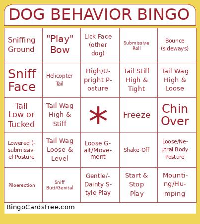 Dog body language  Bingo