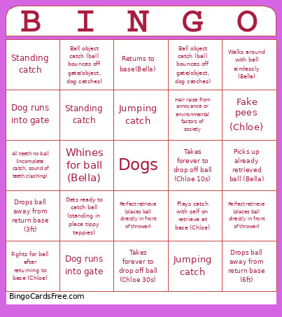Dog Play Bingo Card