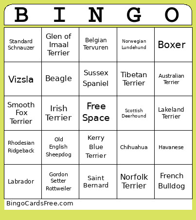 Dog Show Bingo Card
