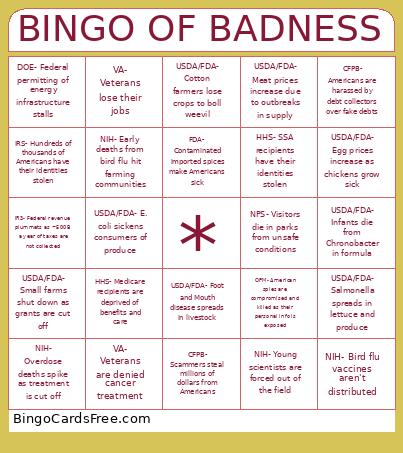 DOGE Impacts Bingo Card