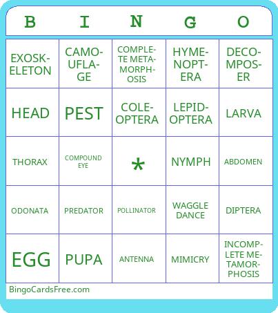 Dont Bug Me Bingo