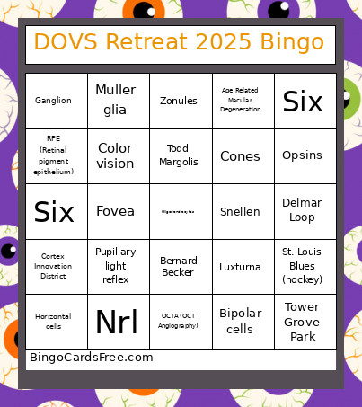 DOVS Retreat 2025 Bingo Card