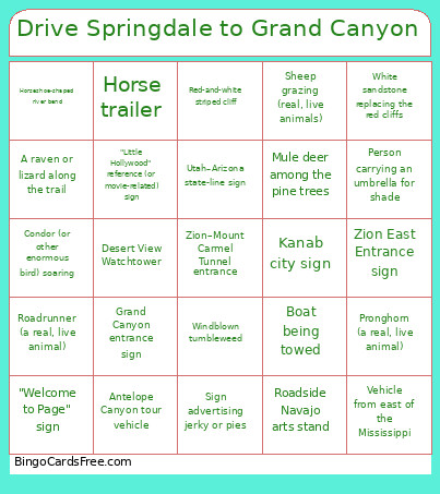 Drive Springdale To Grand Canyon Bingo Card