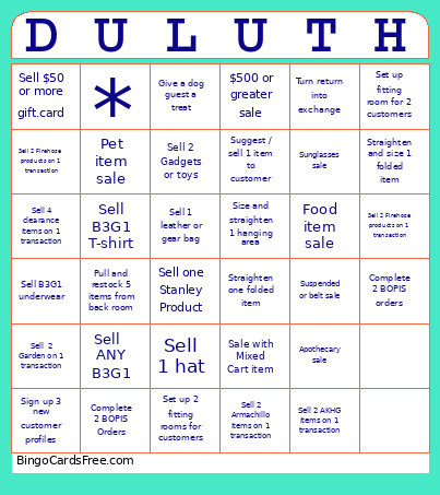 Duluth Bingo Card