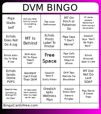 DVM Bingo Card