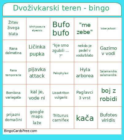 Dvoživkarski Teren - Bingo Card