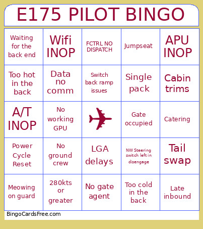 E175 Pilot Bingo Card