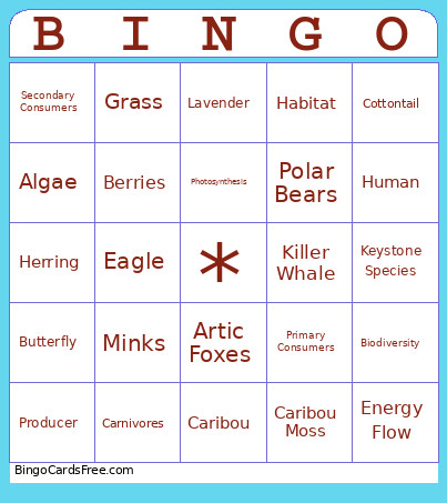 Ecology Review Bingo Card