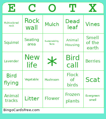Ecotherapy Bingo Card