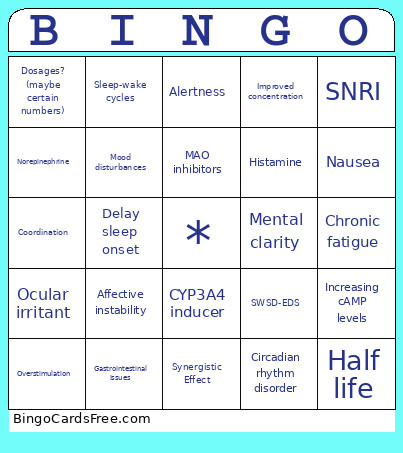 Eeeee Bingo Card