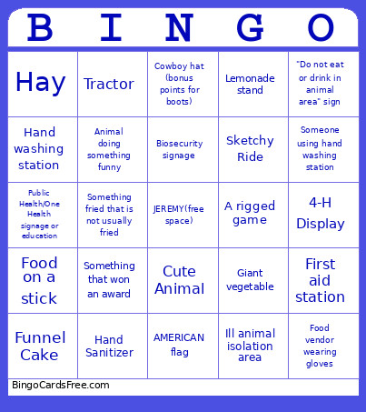 EID GOES TO THE FAIR Bingo Card
