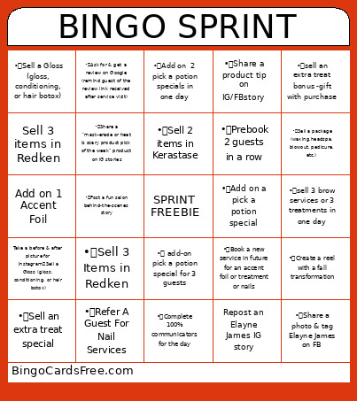 EJS SPRINT Bingo Card