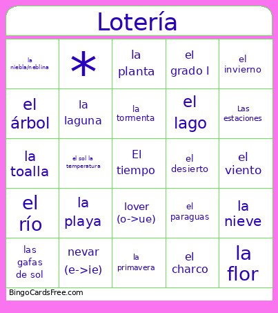 El Clima Y Tiempo Bingo Card