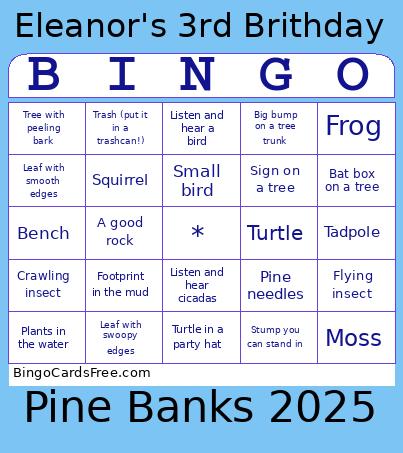Eleanor Pine Banks 2025 Bingo