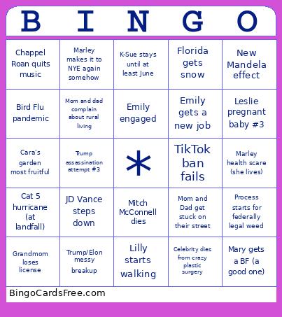 Emily’s 2025 Bingo Card