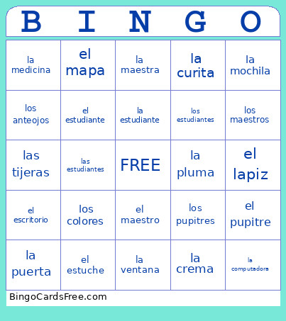 En La Clase Bingo Card