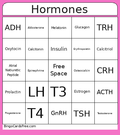 Endocrine Bingo Card