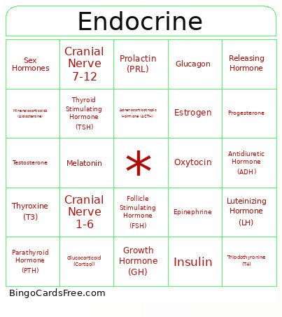 Endocrine Bingo Card 2