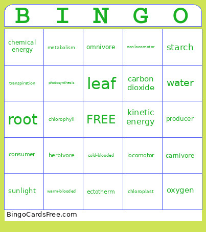 Energy And Food Bingo Card
