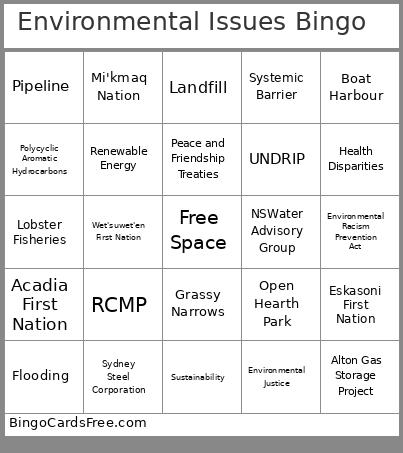 Environmental Issues Bingo Card