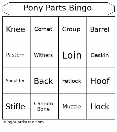 Equine Anatomy Bingo Card