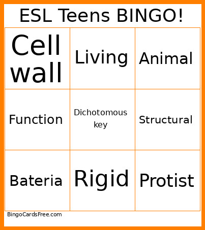 ESL Teens ! Bingo Card