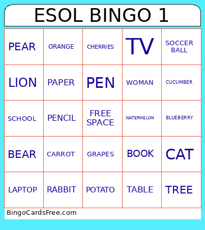 ESOL 1 Bingo Card