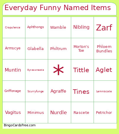 Everyday Funny Named Items Bingo Card