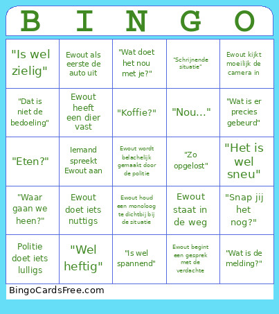 Ewout Bingo Card