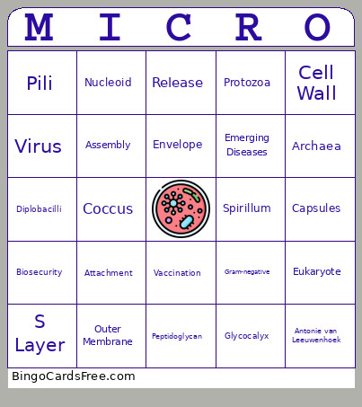 Exam 1 Review Bingo Card