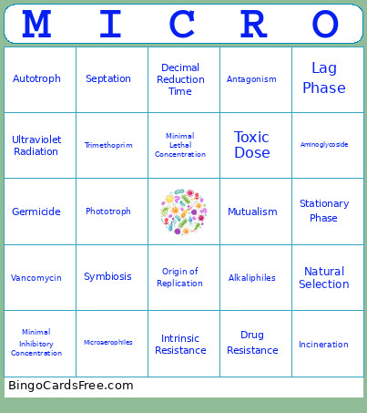 Exam 2 Bingo Card