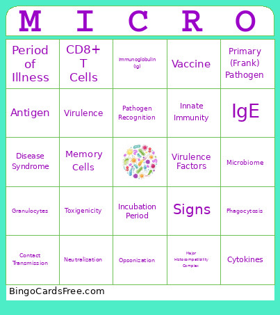 Exam 3 Bingo Card