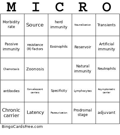 Exam 3 Bingo Card