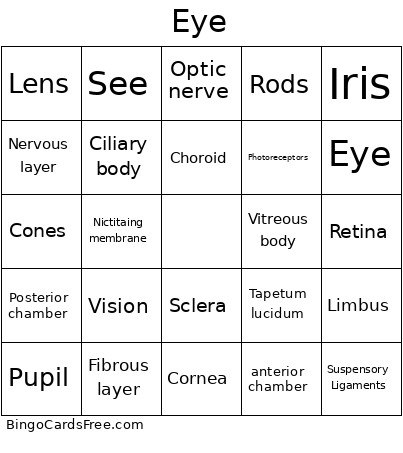 EYE Got It Bingo Card
