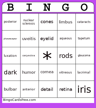 Eyeball Bingo Card