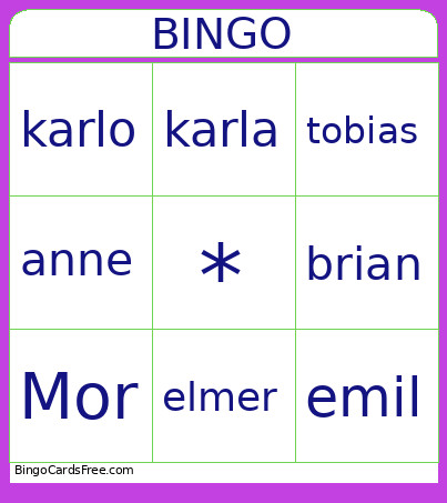 Første Test Bingo Card
