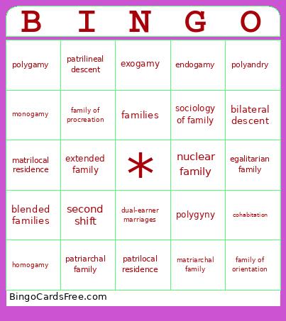 Family Terms Bingo