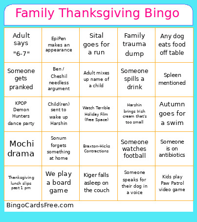 Family Thanksgiving Bingo Card