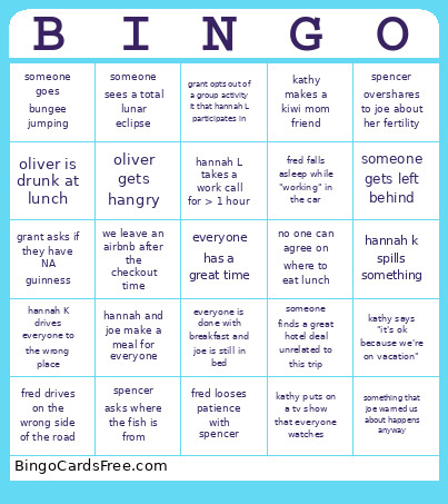 Family Vacation Bingo Card