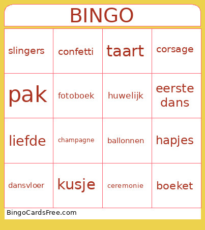 Feest Bingo Card