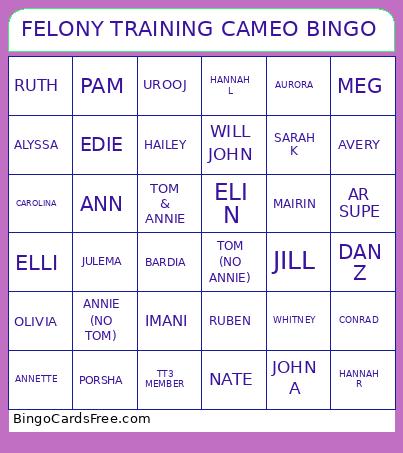FELONY TRAINING CAMEO Bingo Card