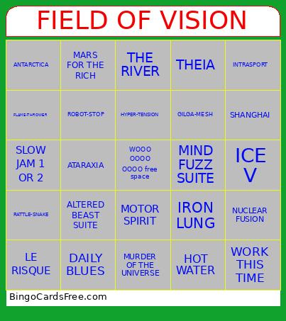 FIELD OF VISION  Bingo
