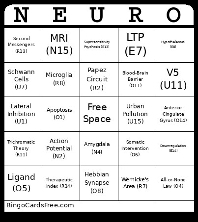 Final Exam Prep Bingo Card