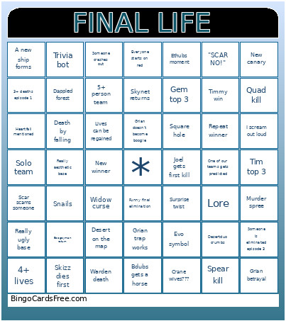 Final Life Bingo Card