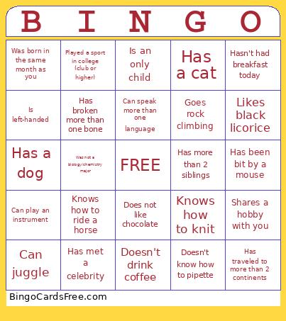 Find Someone Bingo