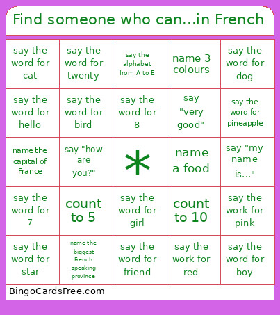 Find Someone Who Can...in French Bingo Card