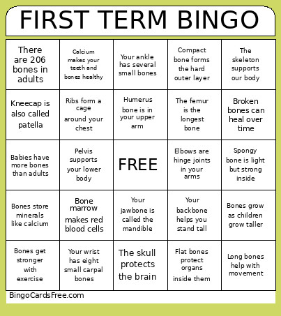 FIRST TERM Bingo Card