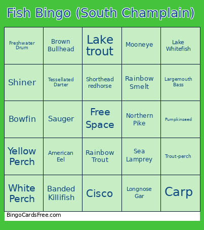 Fish (South Champlain) Bingo Card