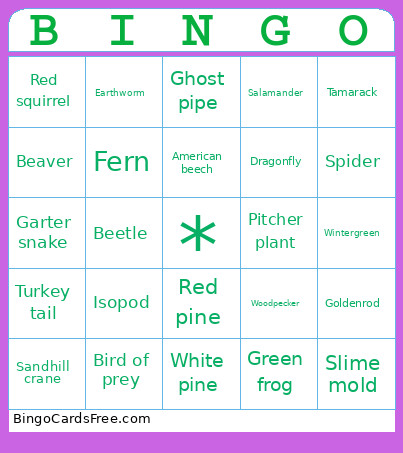 Fish Lake Bingo Card