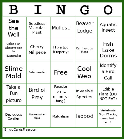 Fish Lake 2026 Bingo Card